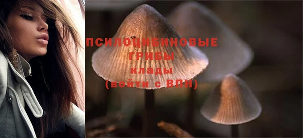 ALPHA PVP Аркадак