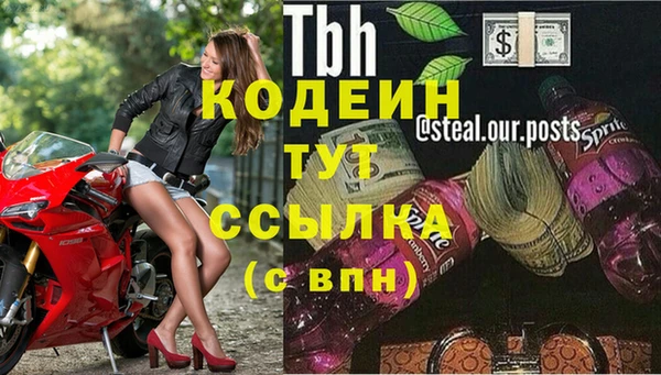 эйфоретик Няндома