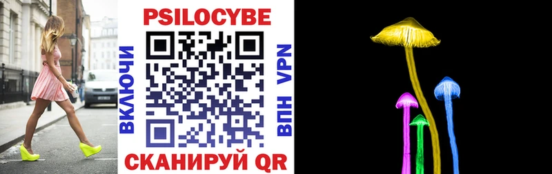 Галлюциногенные грибы Psilocybine cubensis  Суровикино 